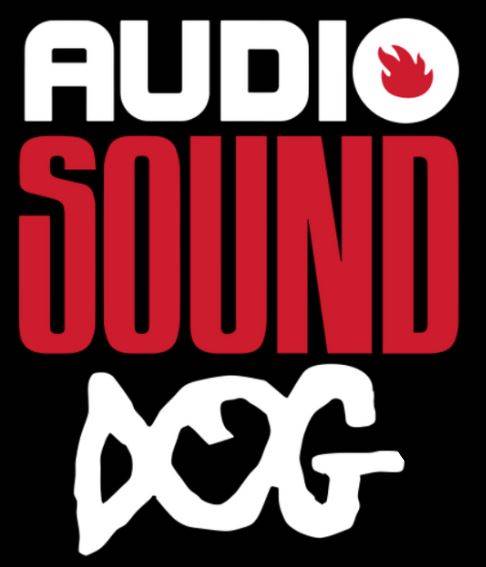 AUDIO SOUND DOG a Chris Cornell / Seattle Sound Experience.